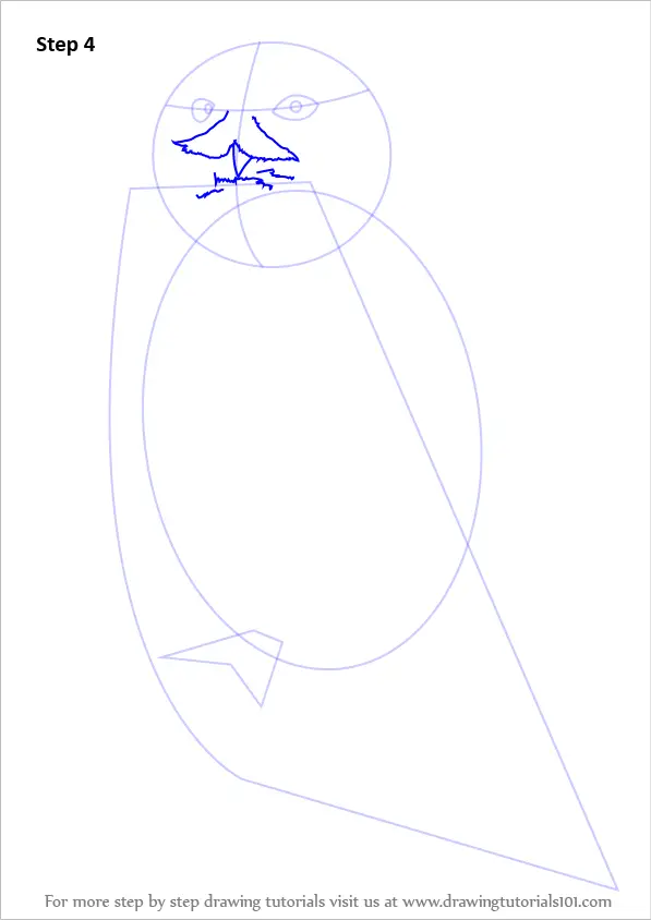 Step by Step How to Draw a Snowy Owl : DrawingTutorials101.com