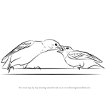 How to Draw Sparrow Feeding Young One