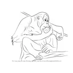 How to Draw a Orangutan