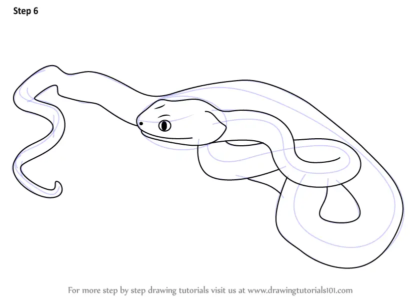 Learn How to Draw a Pit Viper (Reptiles) Step by Step Drawing Tutorials