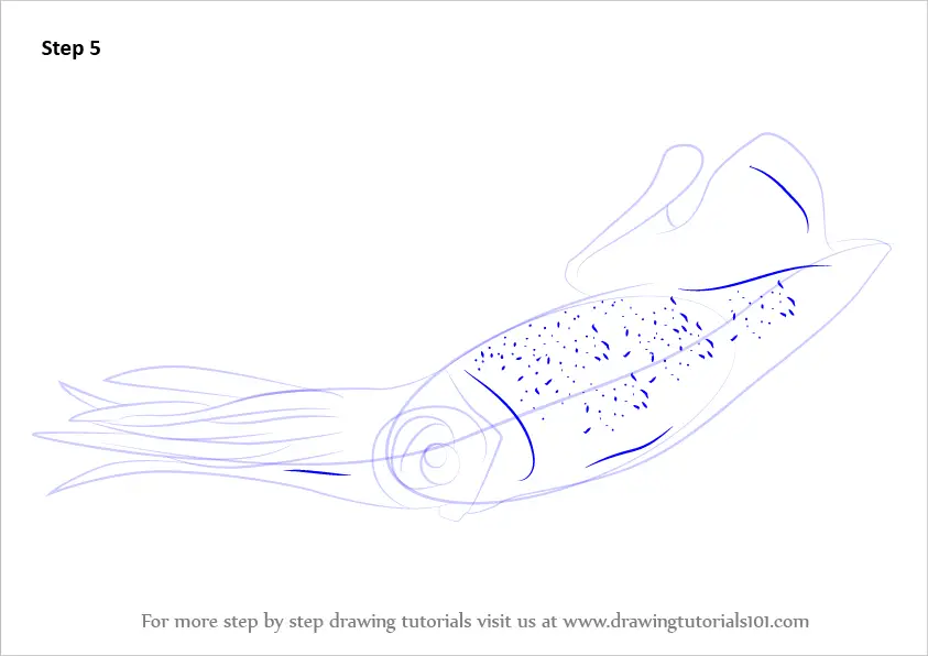 Learn How to Draw a Firefly Squid (Squids) Step by Step : Drawing Tutorials