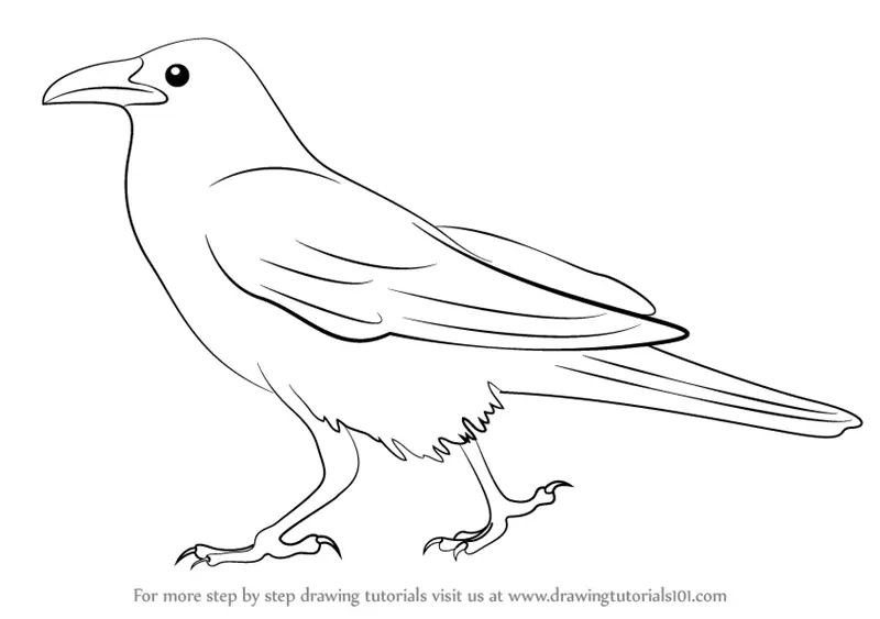 Premium Vector  Handdrawn black crow raven bird sketch vector illustration