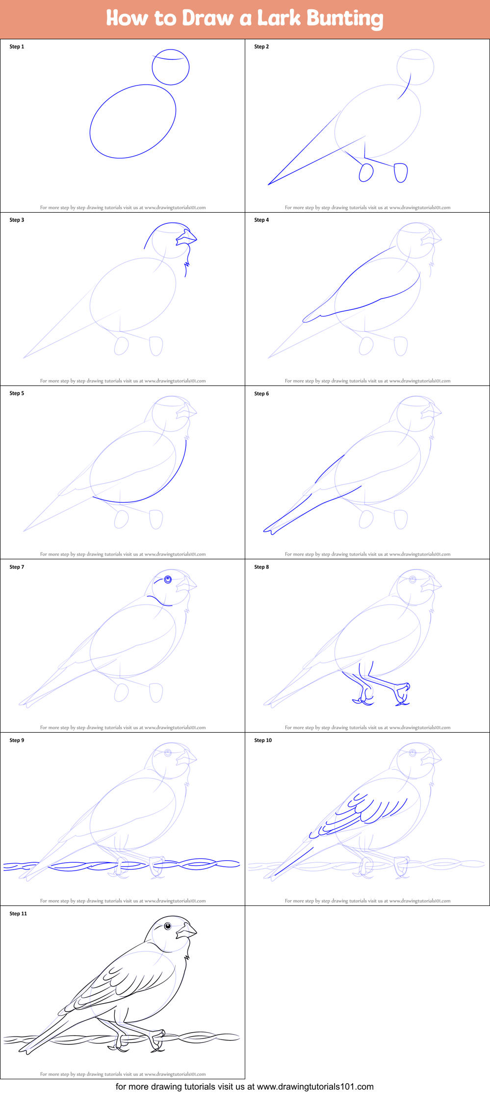 lark bunting coloring page