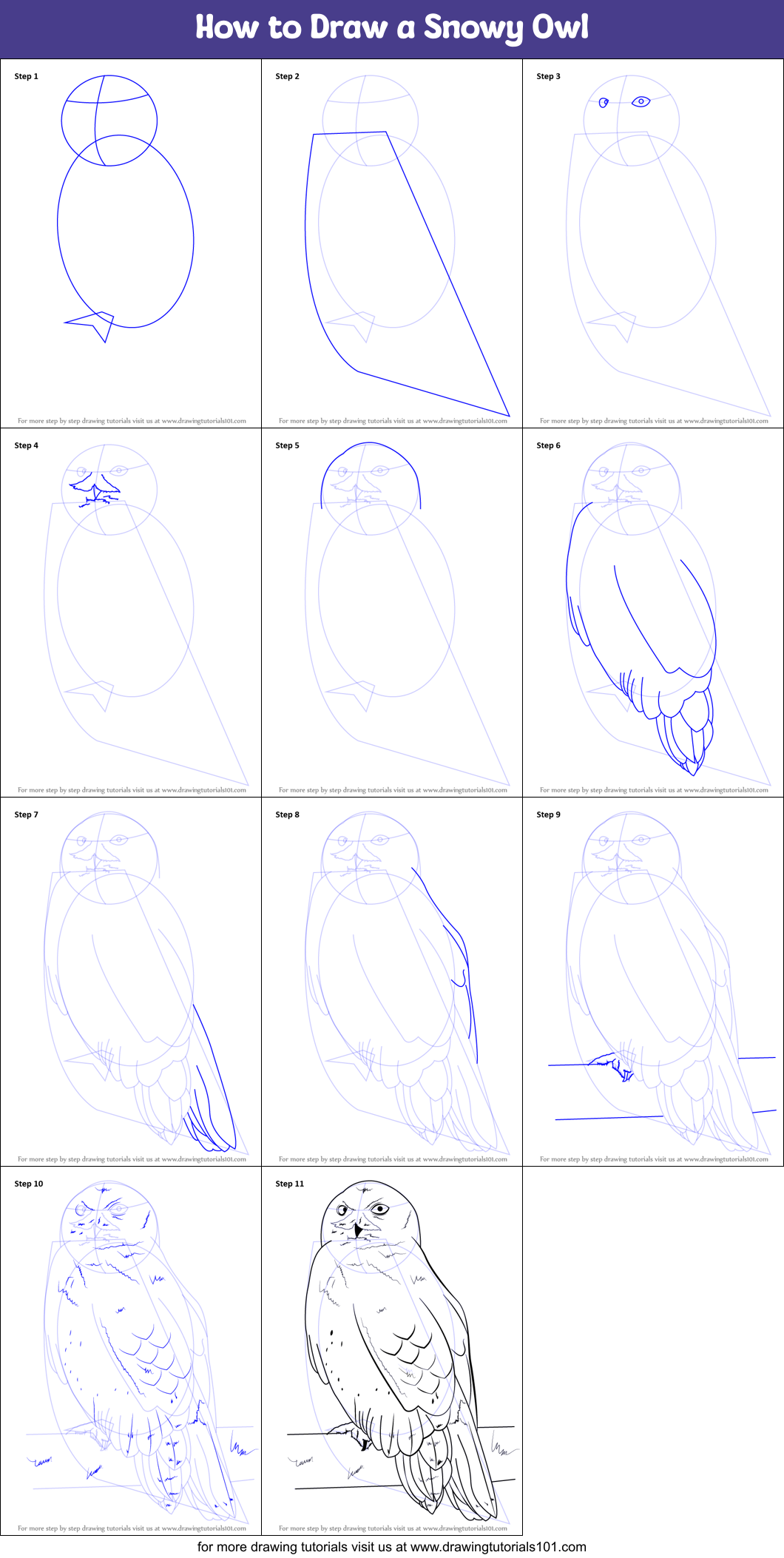 how to draw a snowy owl