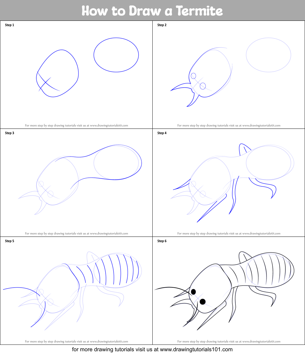 Simple Design of Insect Termite Stock Illustration  Illustration of hama  closeup 169455443