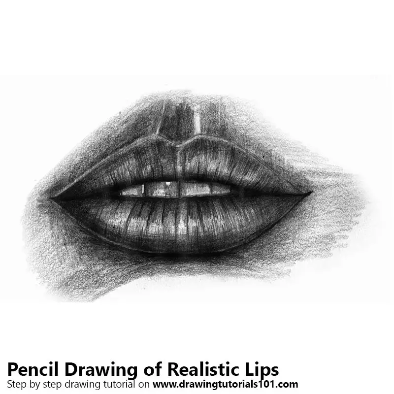 Realistic Lips Drawing Drawings / Sketch by Pawan Verma Artist - Artist.com