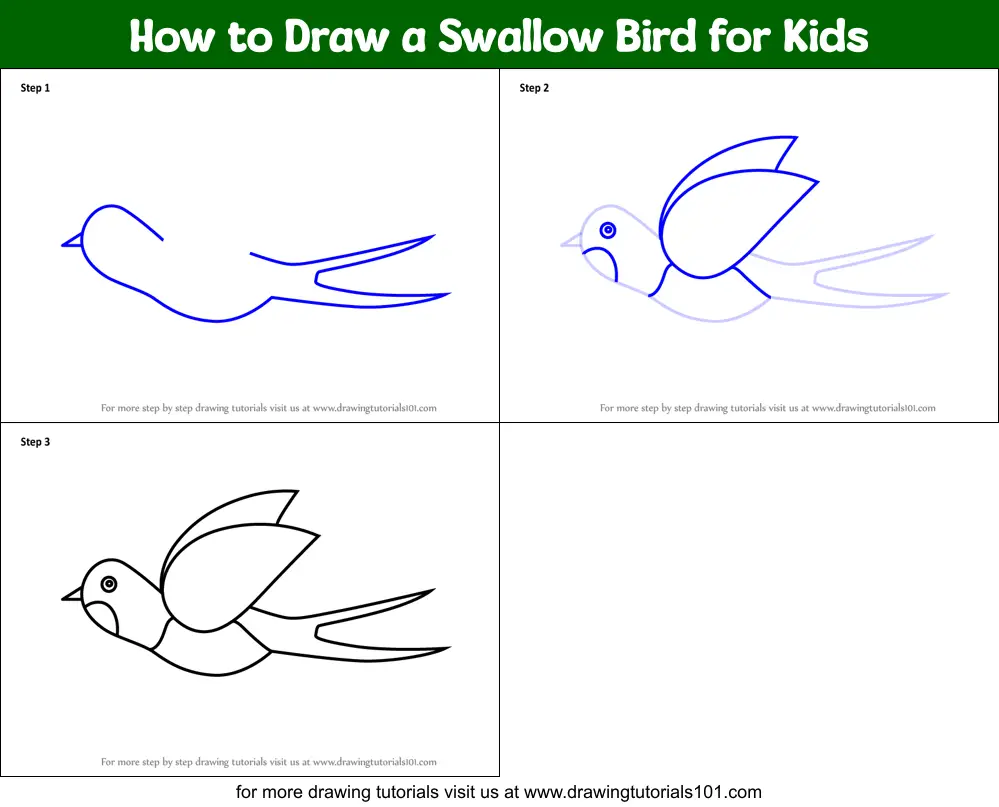 How To Draw A Swallow Bird For Kids Printable Step By Step Drawing Sheet Drawingtutorials101 Com