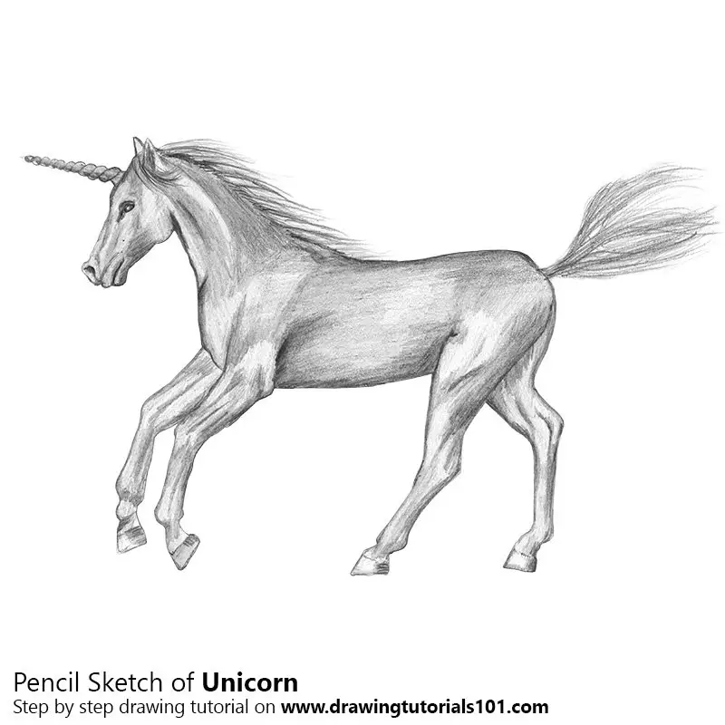 Rainbow Unicorn Drawing  How To Draw A Rainbow Unicorn Step By Step