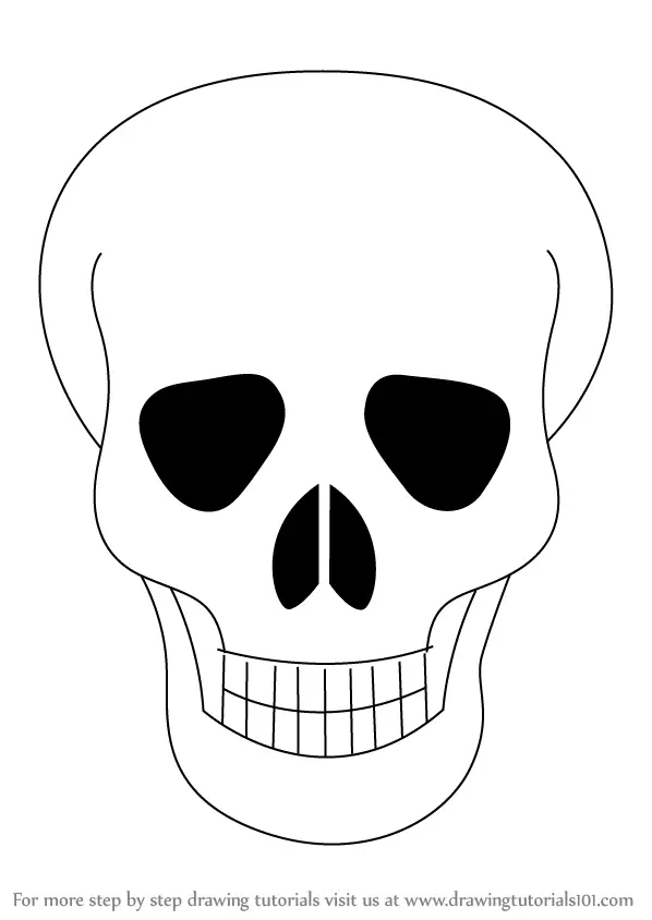 How to Draw a Simple Skull Step by Step  YouTube
