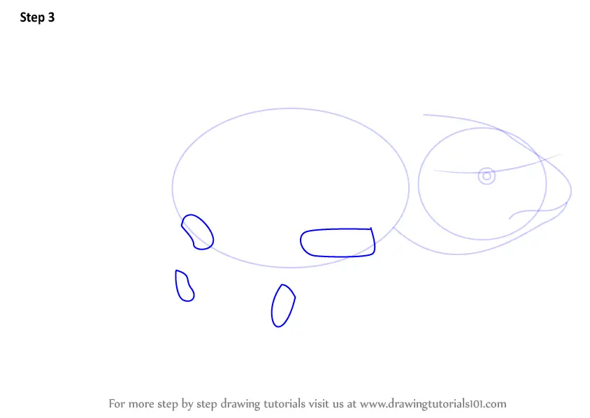 Learn How To Draw A Axolotl Amphibians Step By Step Drawing Tutorials