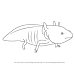How to Draw a Axolotl
