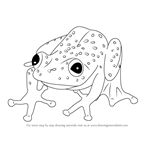 How to Draw a Bobiri Reed Frog