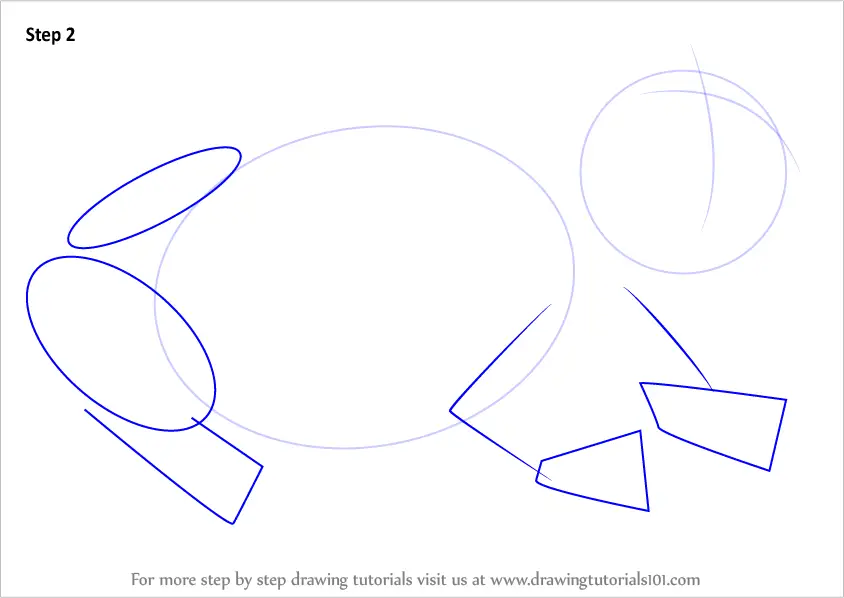 How to Draw a Cape Mountain Toad (Amphibians) Step by Step ...