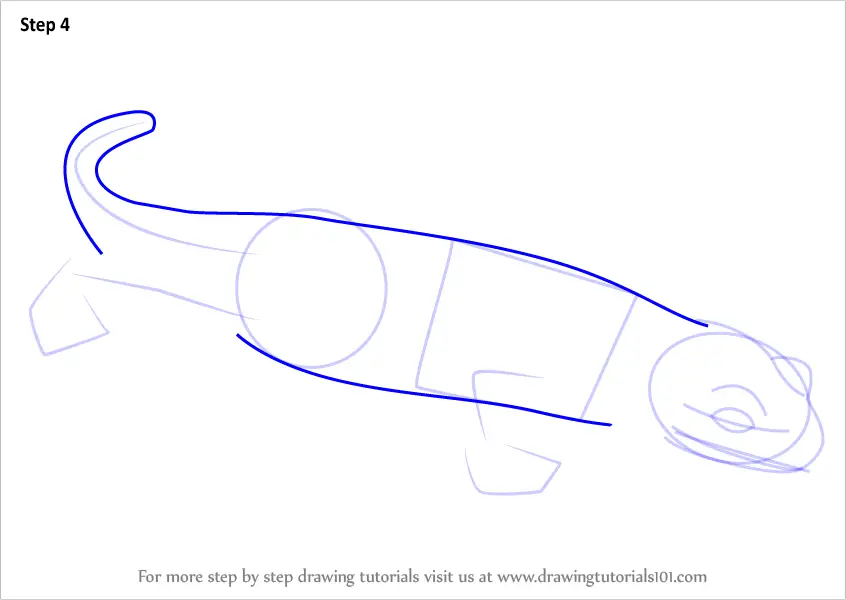 How to Draw a Fire Salamander (Amphibians) Step by Step ...