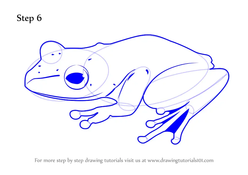 How To Draw A Frog (Amphibians) Step By Step | DrawingTutorials101.com