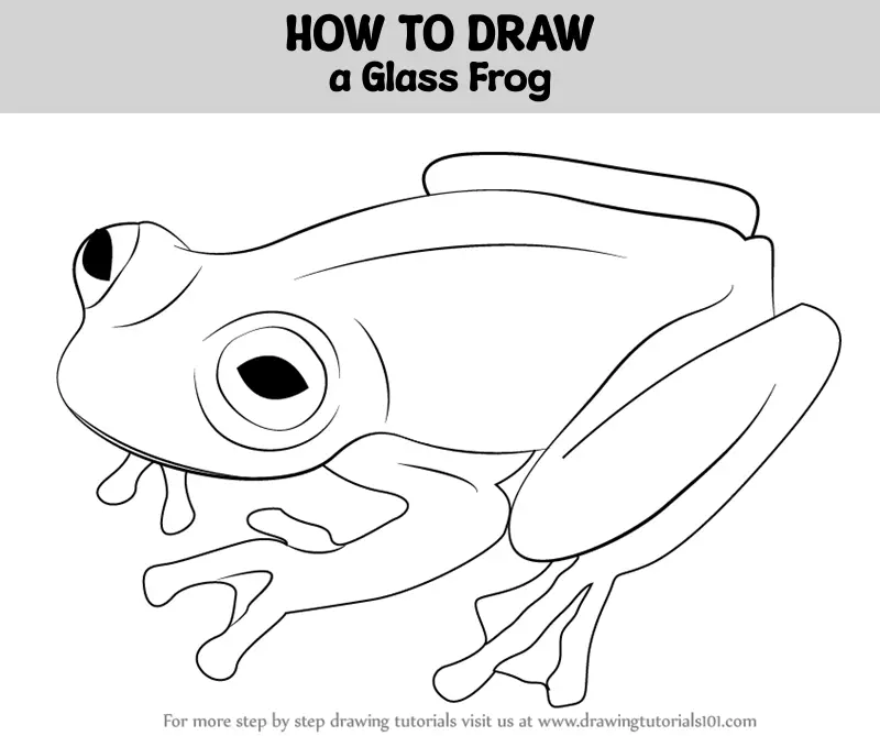 Frog Sketches Stock Illustrations – 58 Frog Sketches Stock Illustrations,  Vectors & Clipart - Dreamstime