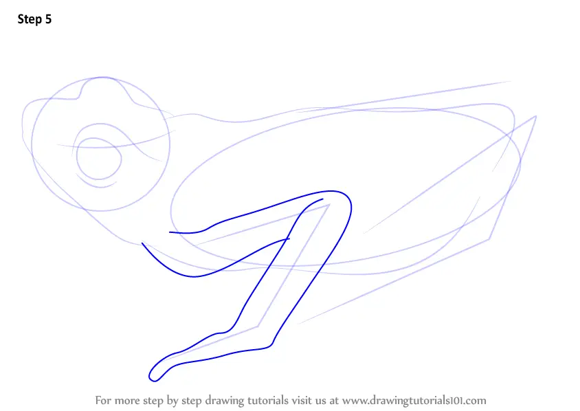 Learn How to Draw a Golden Frog (Amphibians) Step by Step Drawing