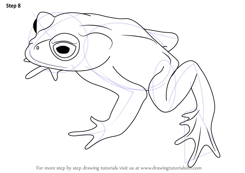 Download Step by Step How to Draw a Golden Toad ...