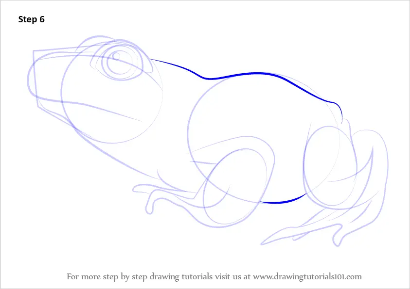 How to Draw a Green Frog (Amphibians) Step by Step ...