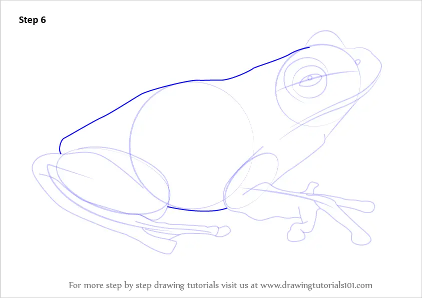 How to Draw a Green Tree Frog (Amphibians) Step by Step ...