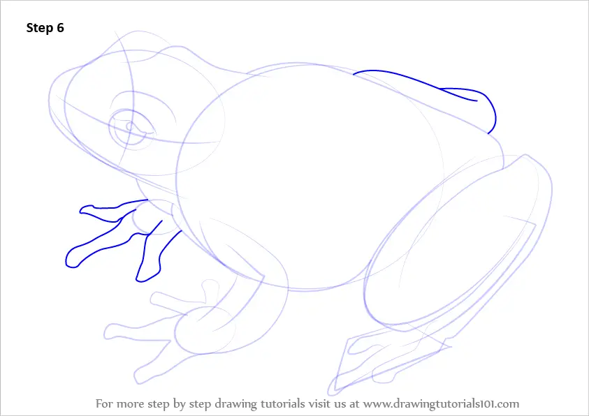 How to Draw a Lemon-Yellow Tree Frog (Amphibians) Step by Step ...