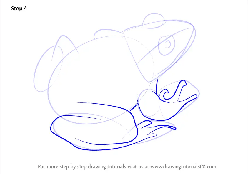 How to Draw a Marsh frog (Amphibians) Step by Step ...