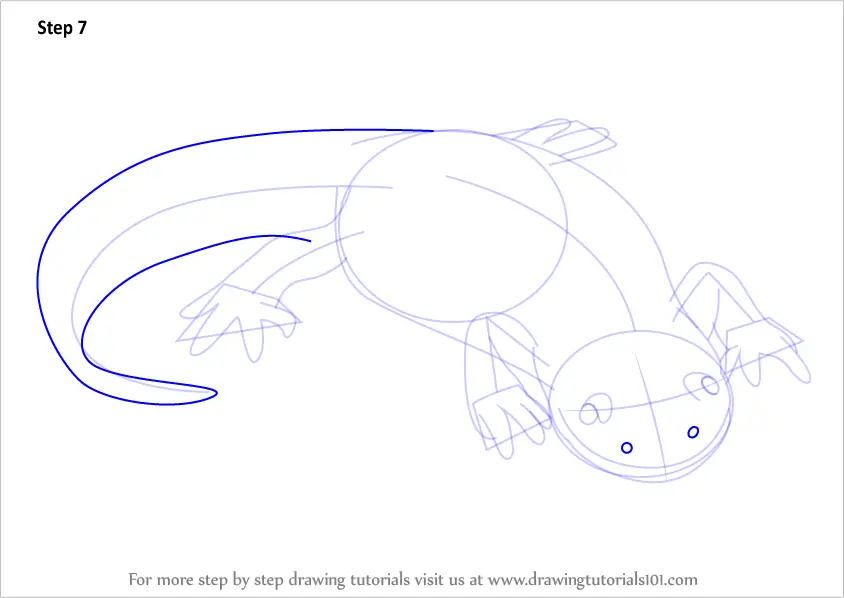 Learn How to Draw a Tiger Salamander (Amphibians) Step by Step