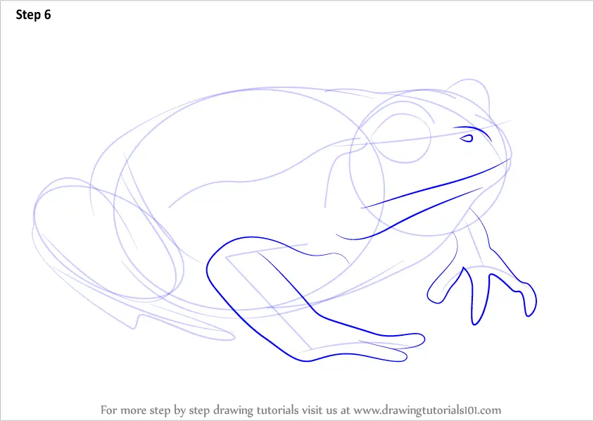 How to Draw a Tomato Frog (Amphibians) Step by Step ...