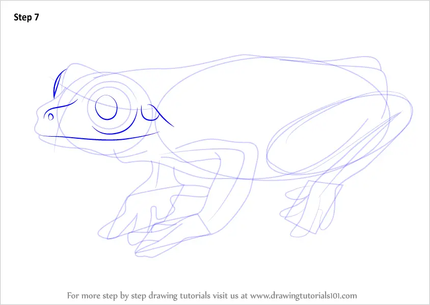 How to Draw a Tree Frog (Amphibians) Step by Step | DrawingTutorials101.com
