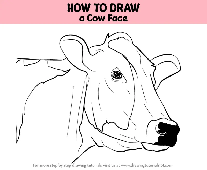 Jersey cow calf face brush drawing and matte... - Stock Illustration  [71438492] - PIXTA