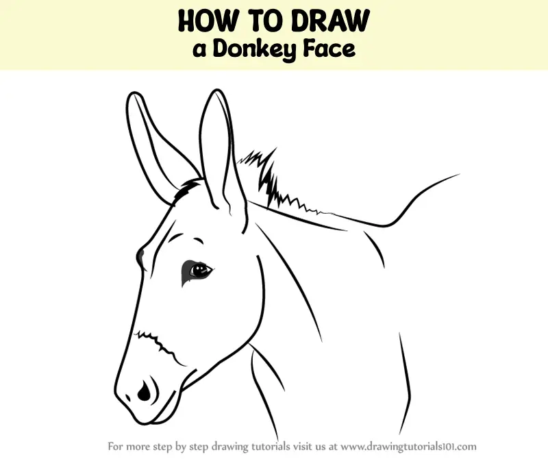 How to Draw a Donkey for Kids | Donkey drawing, Easy cartoon drawings, Easy  drawings