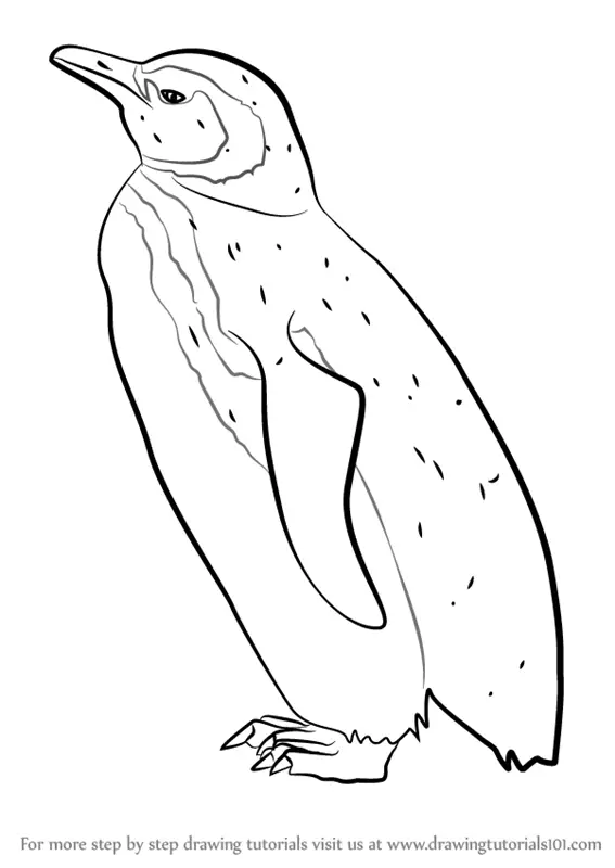 Draw a cute penguin on Craiyon