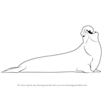 How to Draw a Elephant Seal