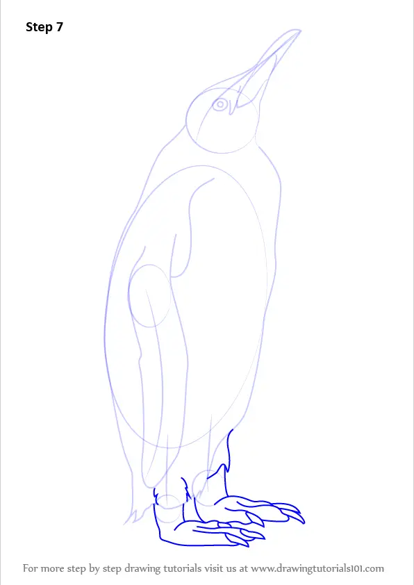 How to Draw a King Penguin (Antarctic Animals) Step by Step
