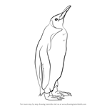 How to Draw a King Penguin