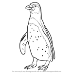 How to Draw Penguin Standing