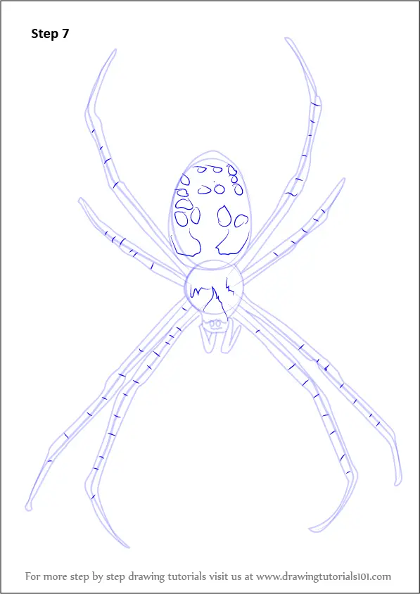 how to animals garden draw Draw Spider to a (Arachnids) Garden Learn Step How by Step