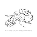 How to Draw a Scorpion
