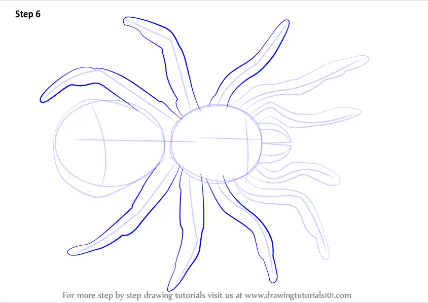 How to Draw a Trapdoor Spider (Arachnids) Step by Step ...