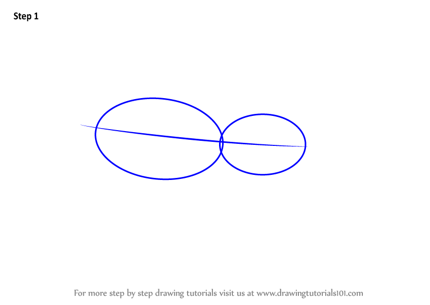 How to Draw a Zebra Spider (Arachnids) Step by Step ...