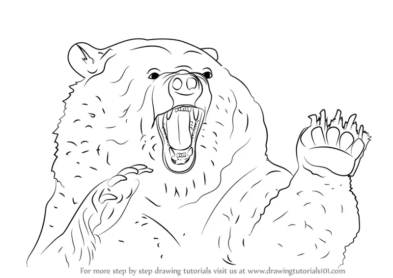 mad grizzly bear coloring page