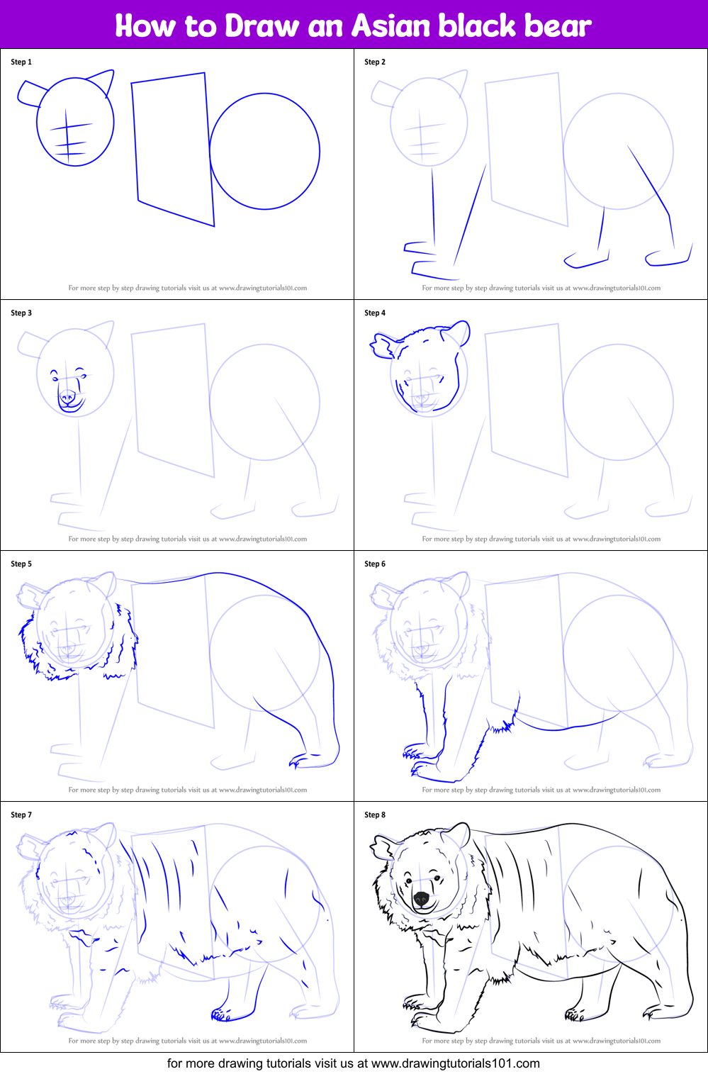 Download How to Draw an Asian black bear printable step by step ...