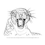 How to Draw a Cheetah Growling