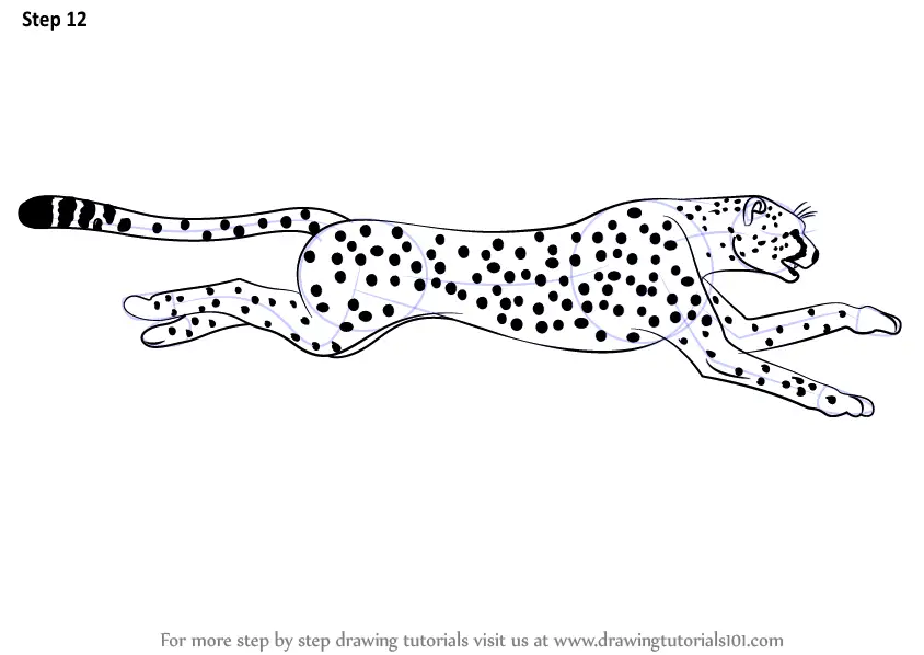 ArtStation - Gepard (Cheetah), sketch, Кrita