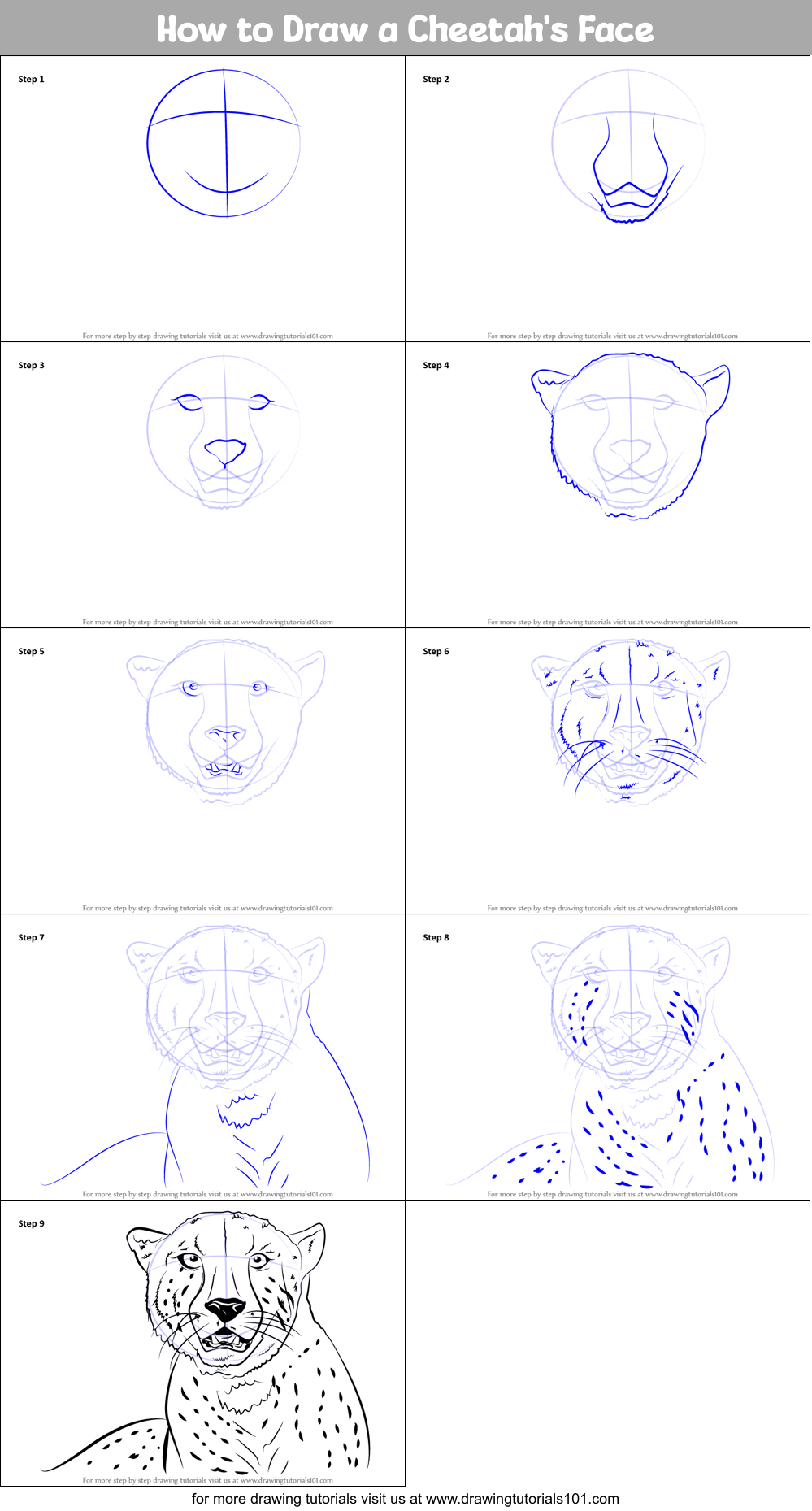 How to Draw a Cheetah's Face printable step by step ...