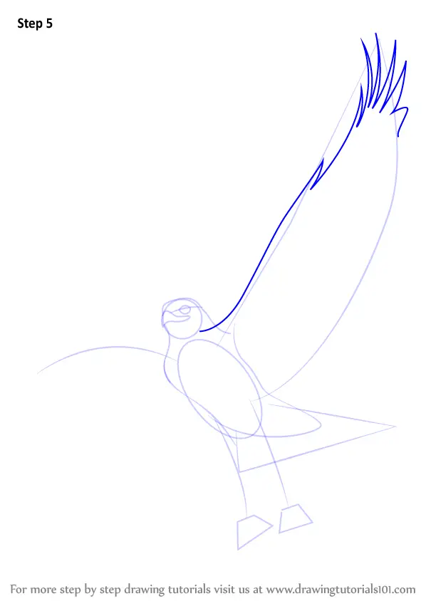 How to Draw a Ferruginous Hawk (Bird of prey) Step by Step ...