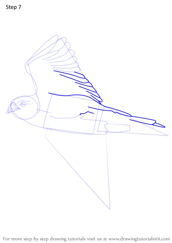 How to Draw Flying Peregrine Falcon (Bird of prey) Step by Step ...