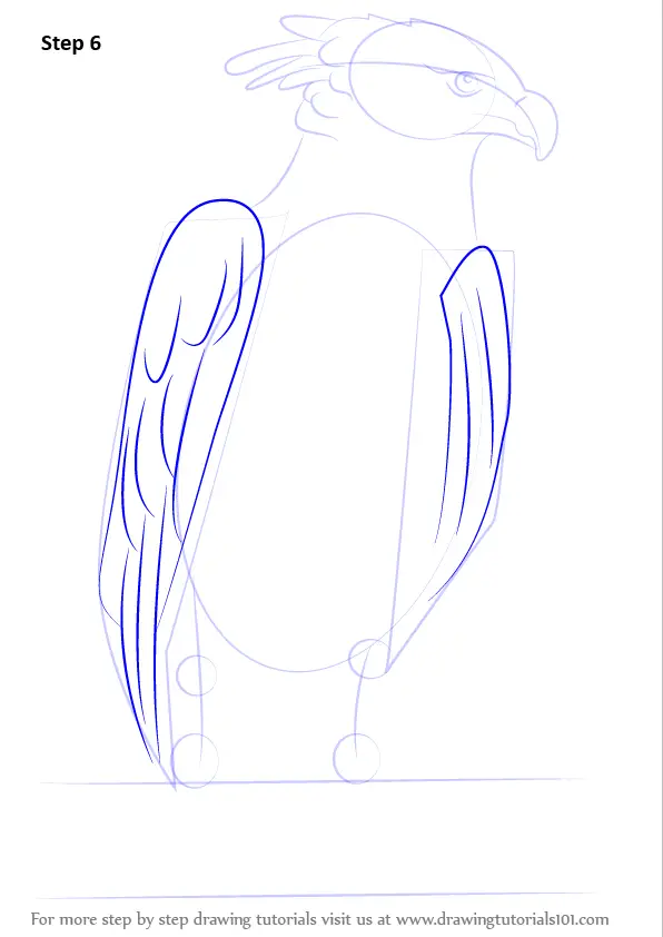 How to Draw a Harpy Eagle (Bird of prey) Step by Step