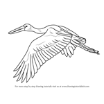 How to Draw an Asian Openbill in Flight