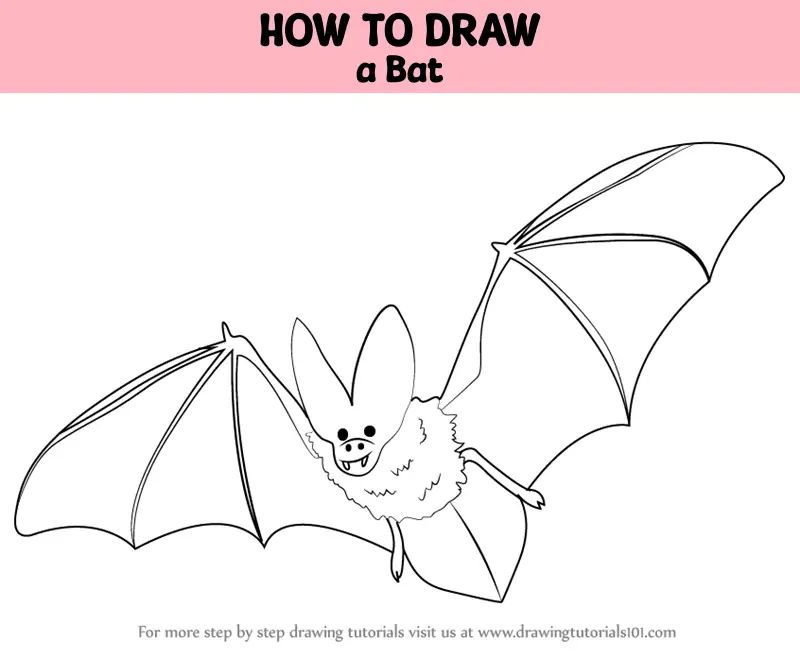 Learn how to draw a cute bat for Halloween with easy drawing